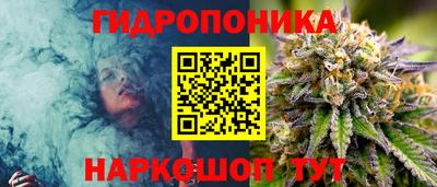 герыч Кингисепп