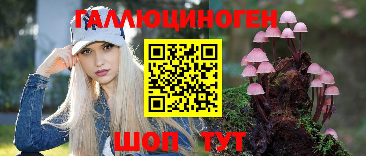 Кимовск  Галлюциногенные грибы ЛСД  Вход с VPN  Галлюциногенные грибы Psilocybine cubensis 